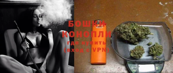 индика Липки