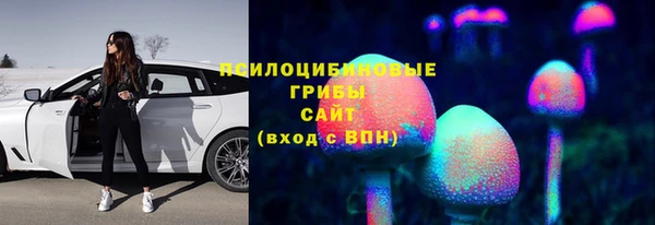 индика Липки
