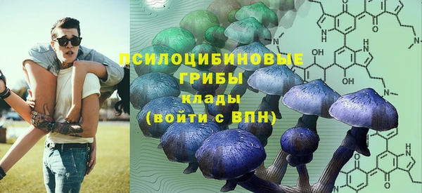 индика Липки