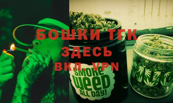 гидра Горняк