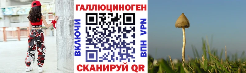 где продают   Железногорск-Илимский  MEGA ссылка  Галлюциногенные грибы Magic Shrooms 